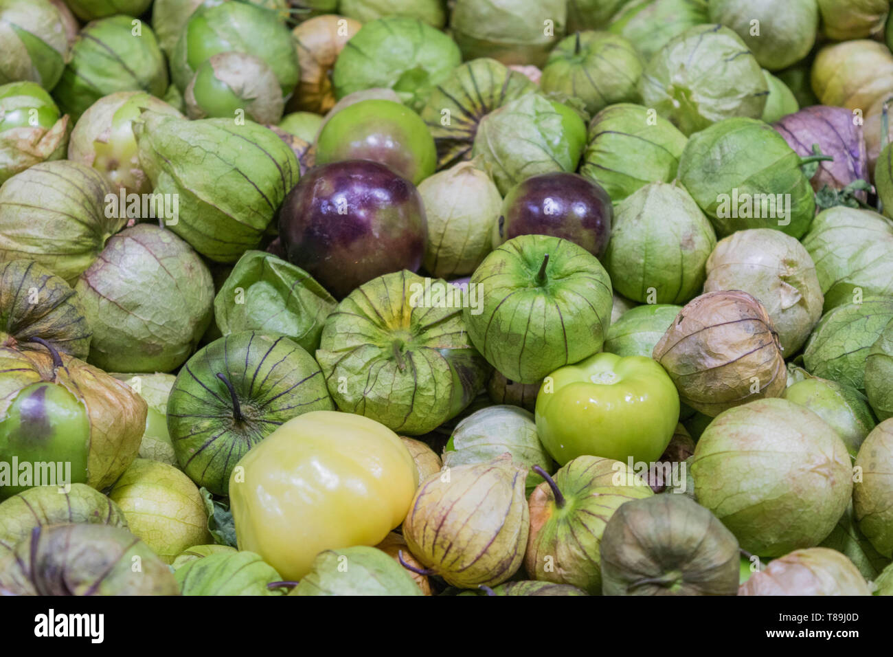 Tomatillos isolato con bucce, primo piano Foto Stock