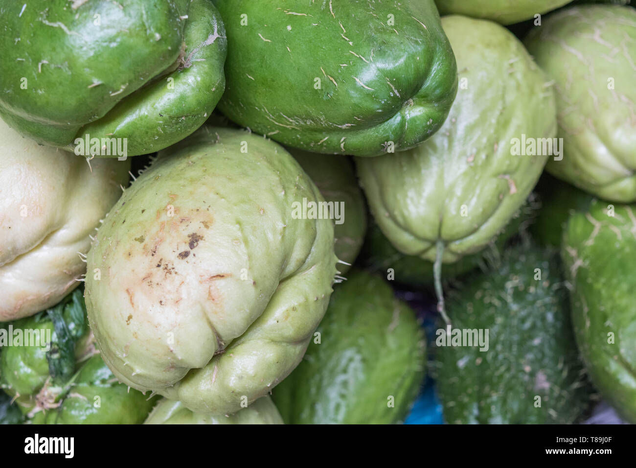 Scatto isolato di chayote verde chiaro e scuro, primo piano Foto Stock