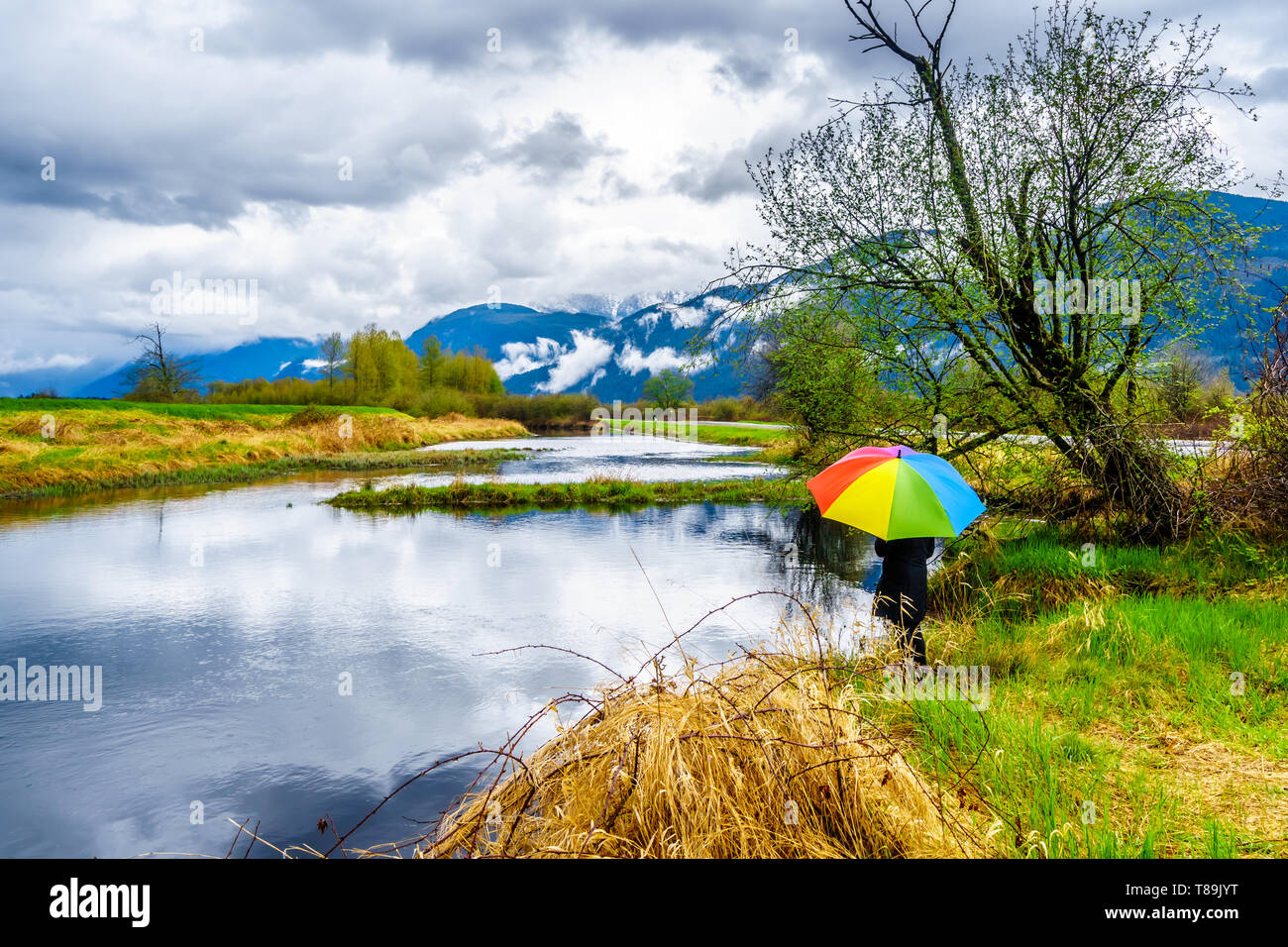 Donna con un ombrello sotto la pioggia scure nuvole in una fredda giornata di primavera presso le lagune di Pitt-Addington Marsh in Pitt Polder vicino a Maple Ridge, BC, Canada Foto Stock