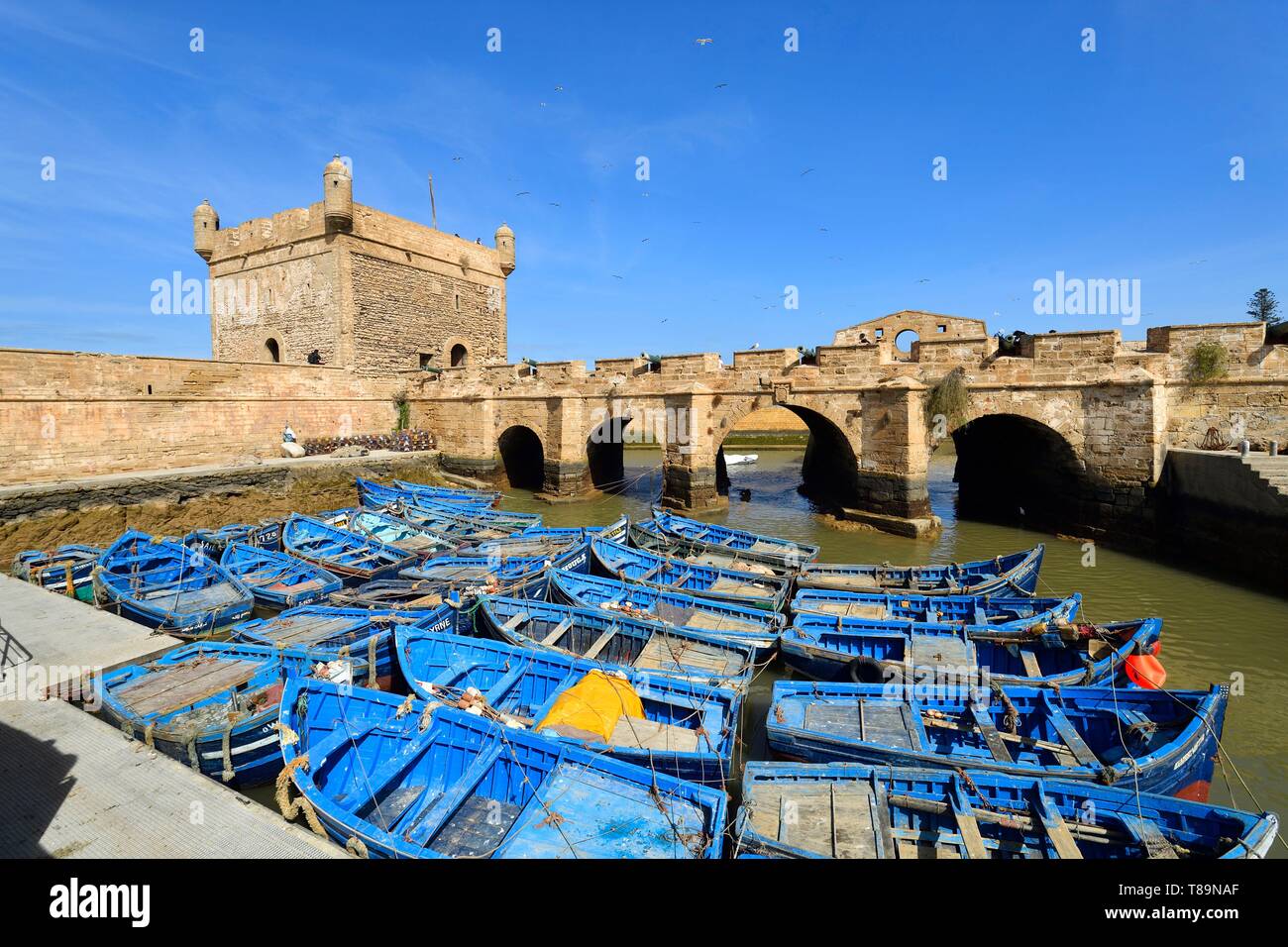Il Marocco, Mogador, Marrakesh Safi regione, Essaouira, elencato come patrimonio mondiale dall'UNESCO, la medina, porto di pescatori e le vecchie mura della città, Skala (sqala) du Port Foto Stock