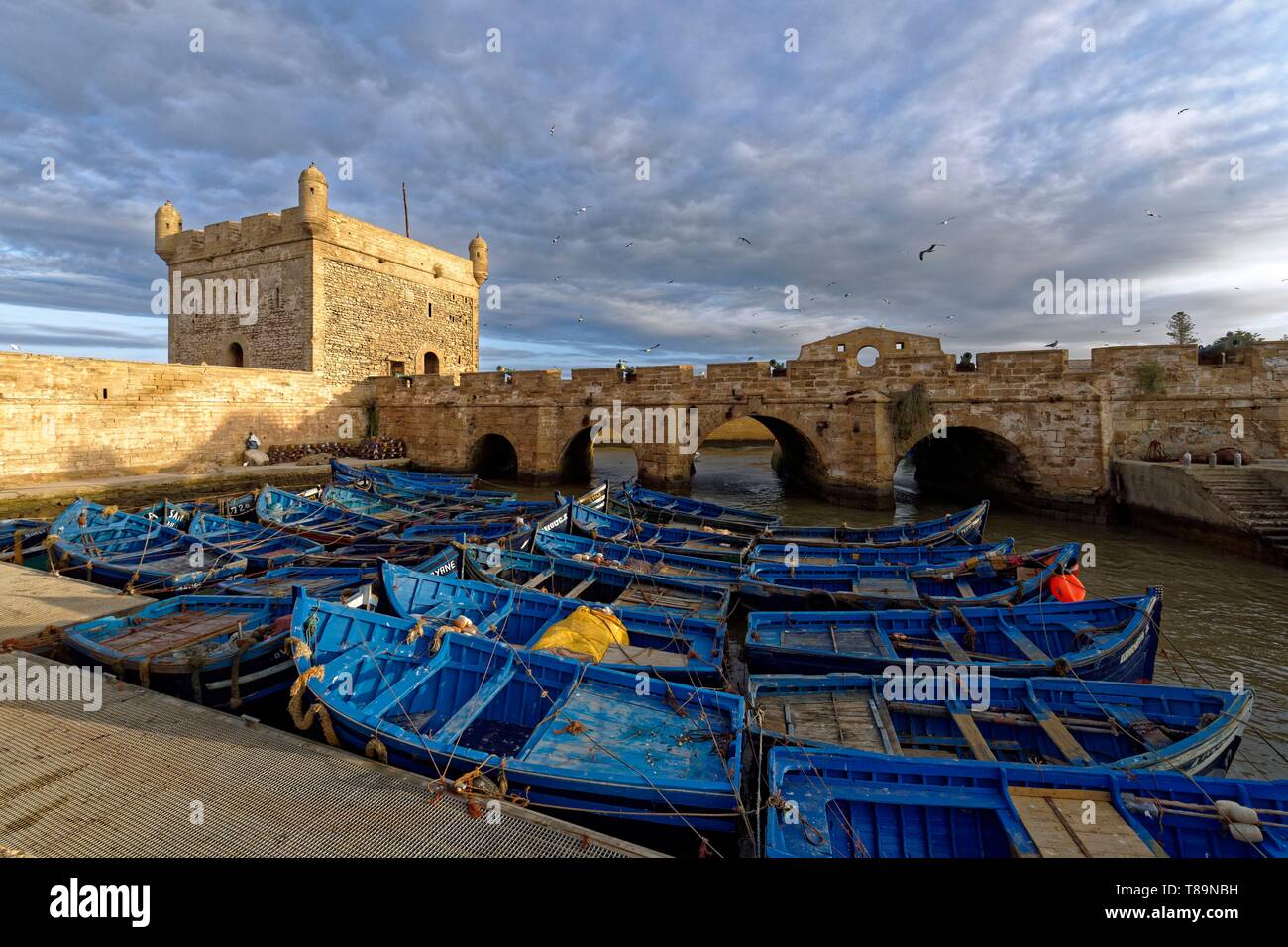 Il Marocco, Mogador, Marrakesh Safi regione, Essaouira, elencato come patrimonio mondiale dall'UNESCO, la medina, porto di pescatori e le vecchie mura della città, Skala (sqala) du Port Foto Stock
