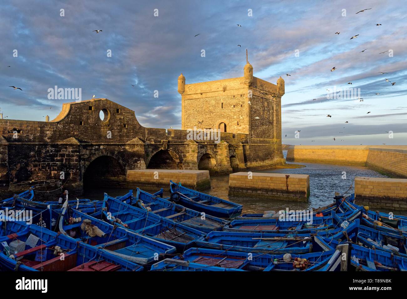 Il Marocco, Mogador, Marrakesh Safi regione, Essaouira, elencato come patrimonio mondiale dall'UNESCO, la medina, porto di pescatori e le vecchie mura della città, Skala (sqala) du Port Foto Stock