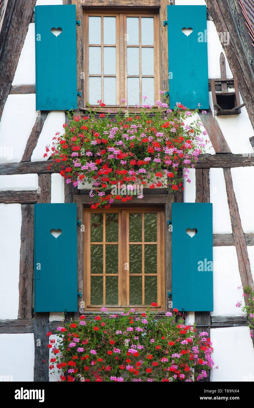 Francia, Haut Rhin, Route des Vins d'Alsace, Kaysersberg etichettati Les Plus Beaux Villages de France (uno dei più bei villaggi di Francia), facciata di una casa tradizionale Foto Stock