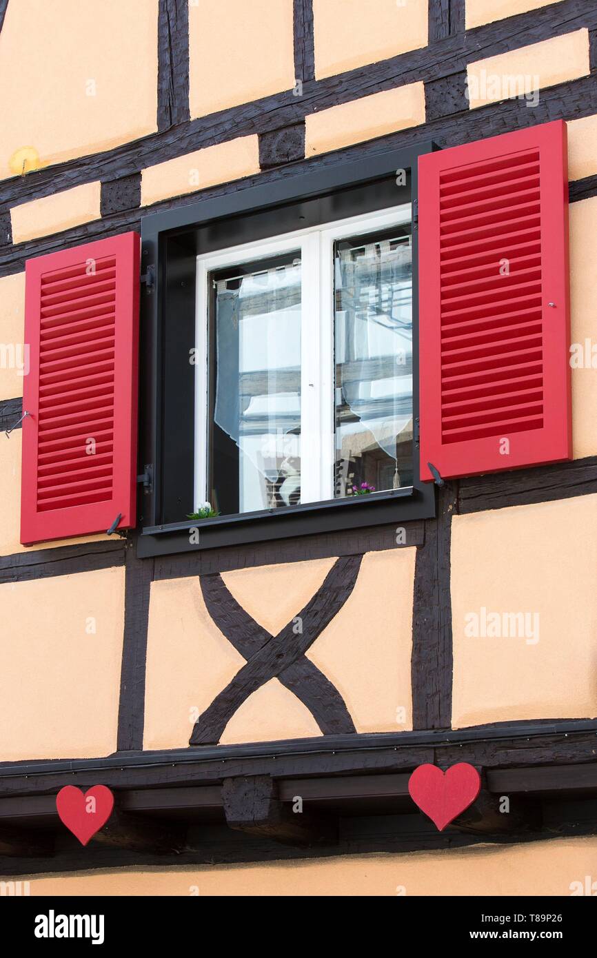 Francia, Haut Rhin, Route des Vins d'Alsace, Eguisheim etichettati Les Plus Beaux Villages de France (uno dei più bei villaggi di Francia), cat in piedi dalla finestra e la facciata di una casa tradizionale Foto Stock