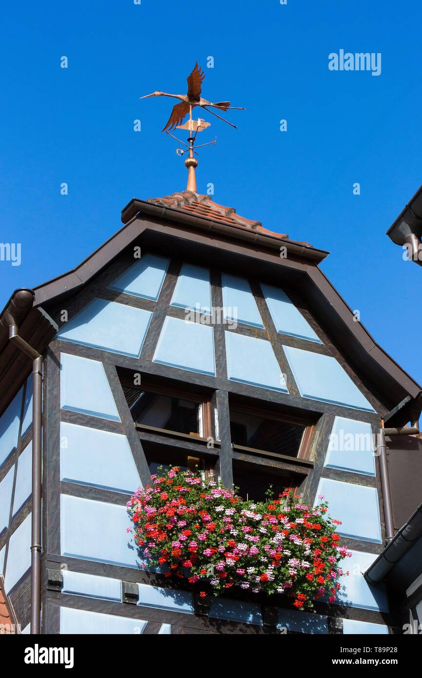 Francia, Haut Rhin, Route des Vins d'Alsace, Eguisheim etichettati Les Plus Beaux Villages de France (uno dei più bei villaggi di Francia), facciata di una casa tradizionale guidato con una banderuola che rappresenta una cicogna Foto Stock