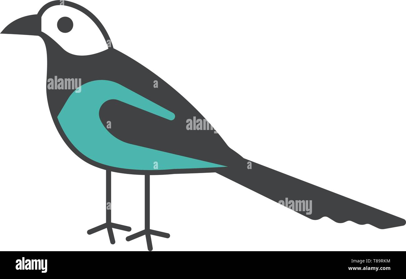 Gazza uccello- segno del vettore illustrazione del simbolo Illustrazione Vettoriale