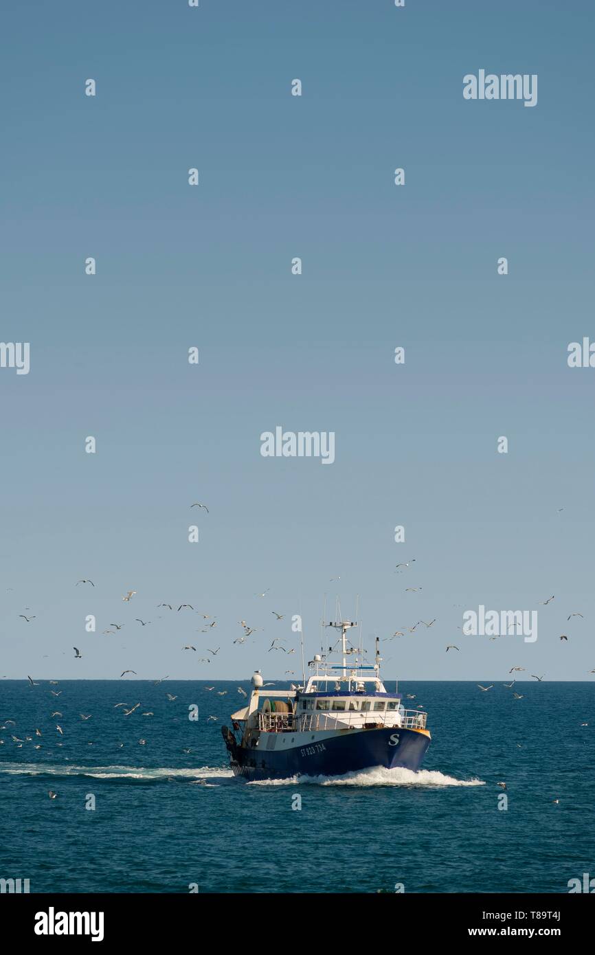Francia, Herault, Sete, Trawler di ritorno di pesca Foto Stock