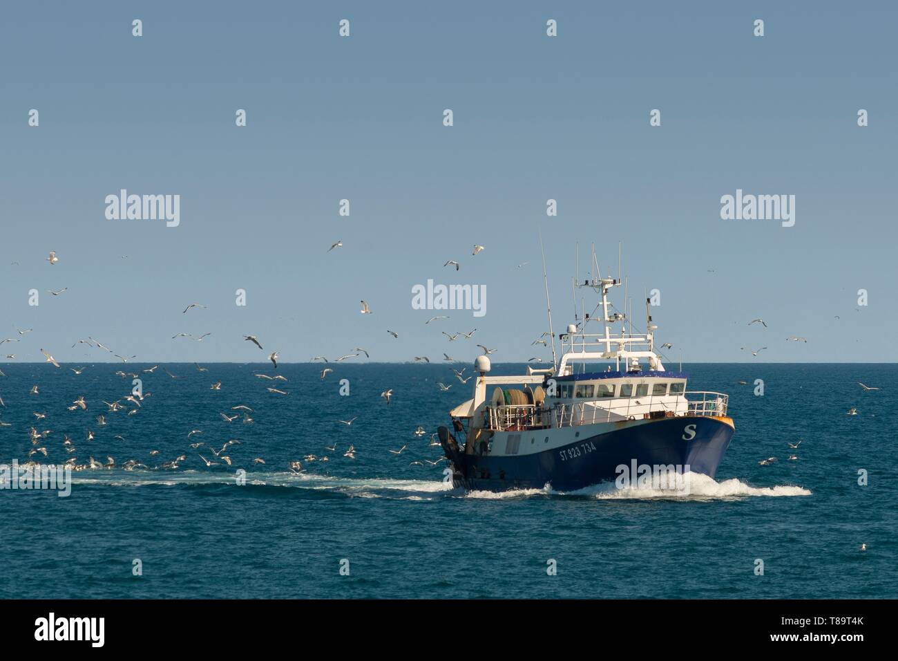 Francia, Herault, Sete, Trawler di ritorno di pesca Foto Stock