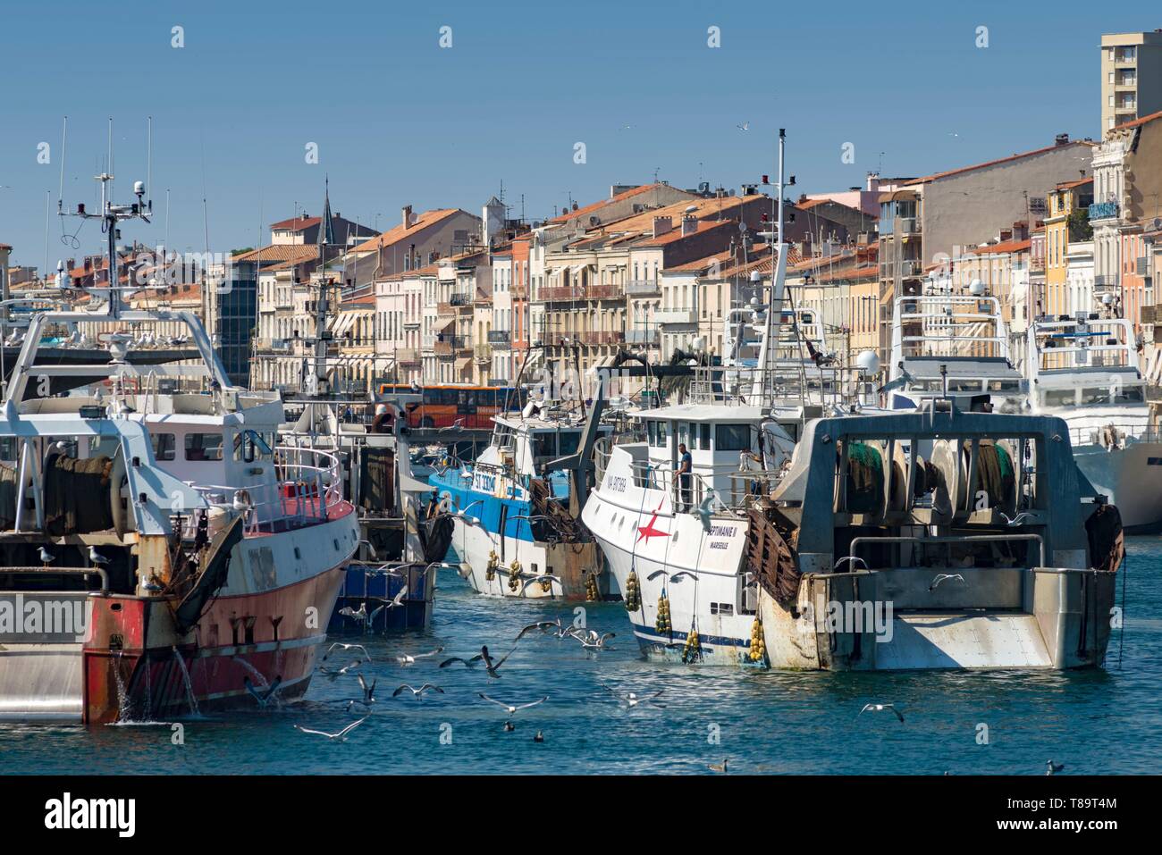 Francia, Herault, Sete, ritorno di pesca in corrispondenza dei pescatori del mercato Foto Stock