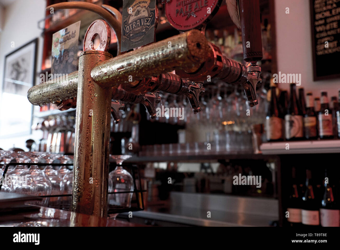 Birra fredda tocca contemplati nella condensa in un bar. Foto Stock
