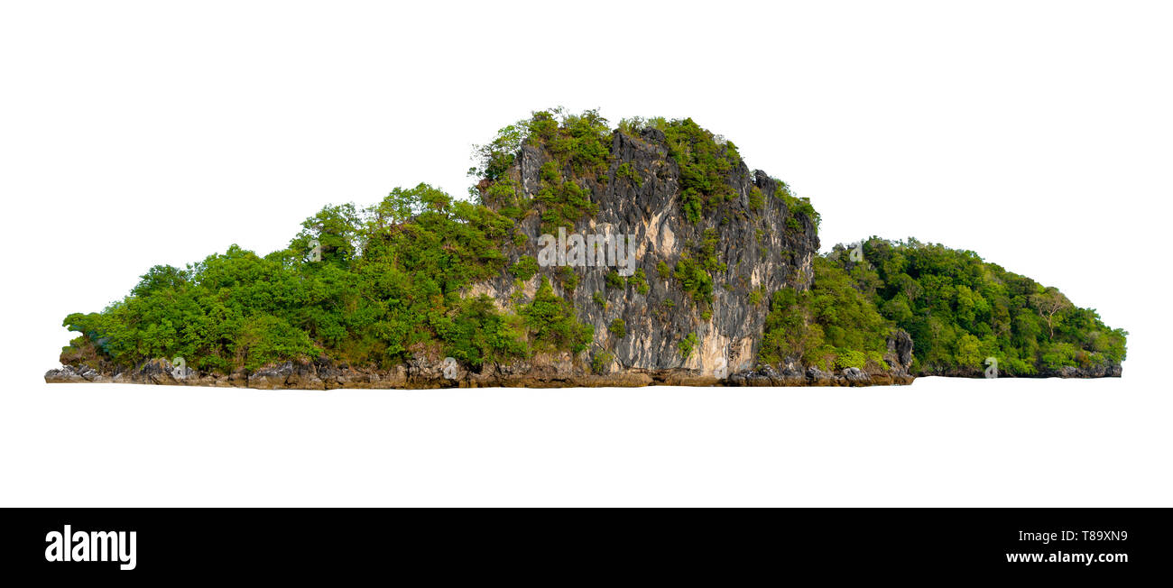 Isolare l'isola nel mezzo del mare verde sullo sfondo bianco separato dallo sfondo Foto Stock