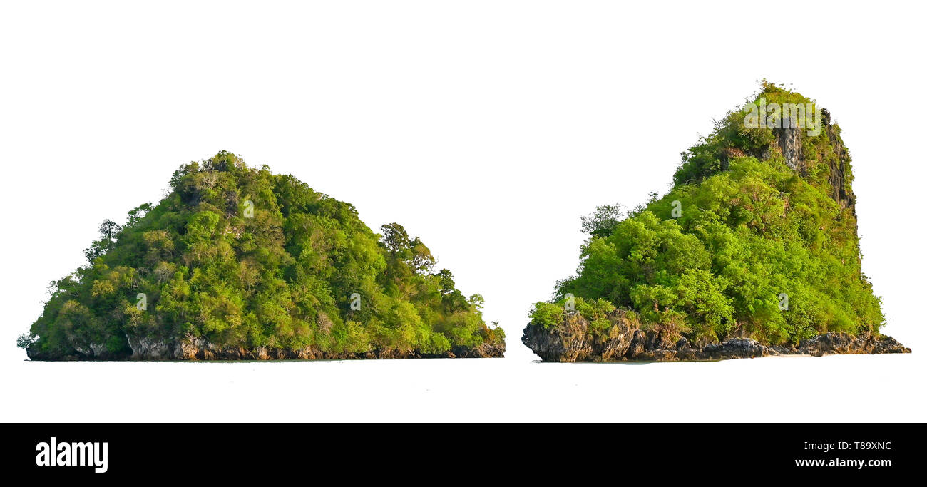 Isolare l'isola nel mezzo del mare verde sullo sfondo bianco separato dallo sfondo Foto Stock