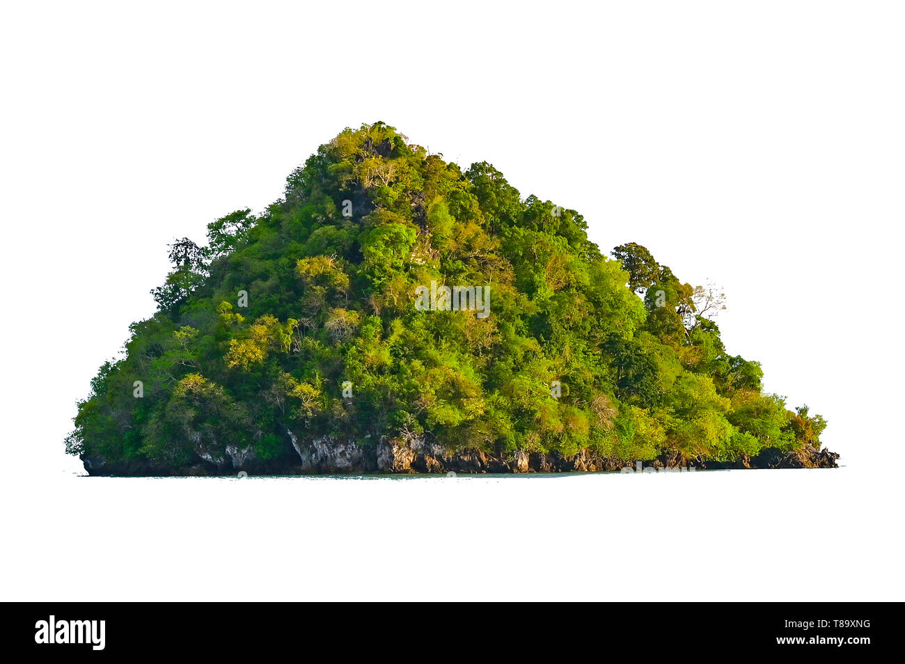 Isolare l'isola nel mezzo del mare verde sullo sfondo bianco separato dallo sfondo Foto Stock
