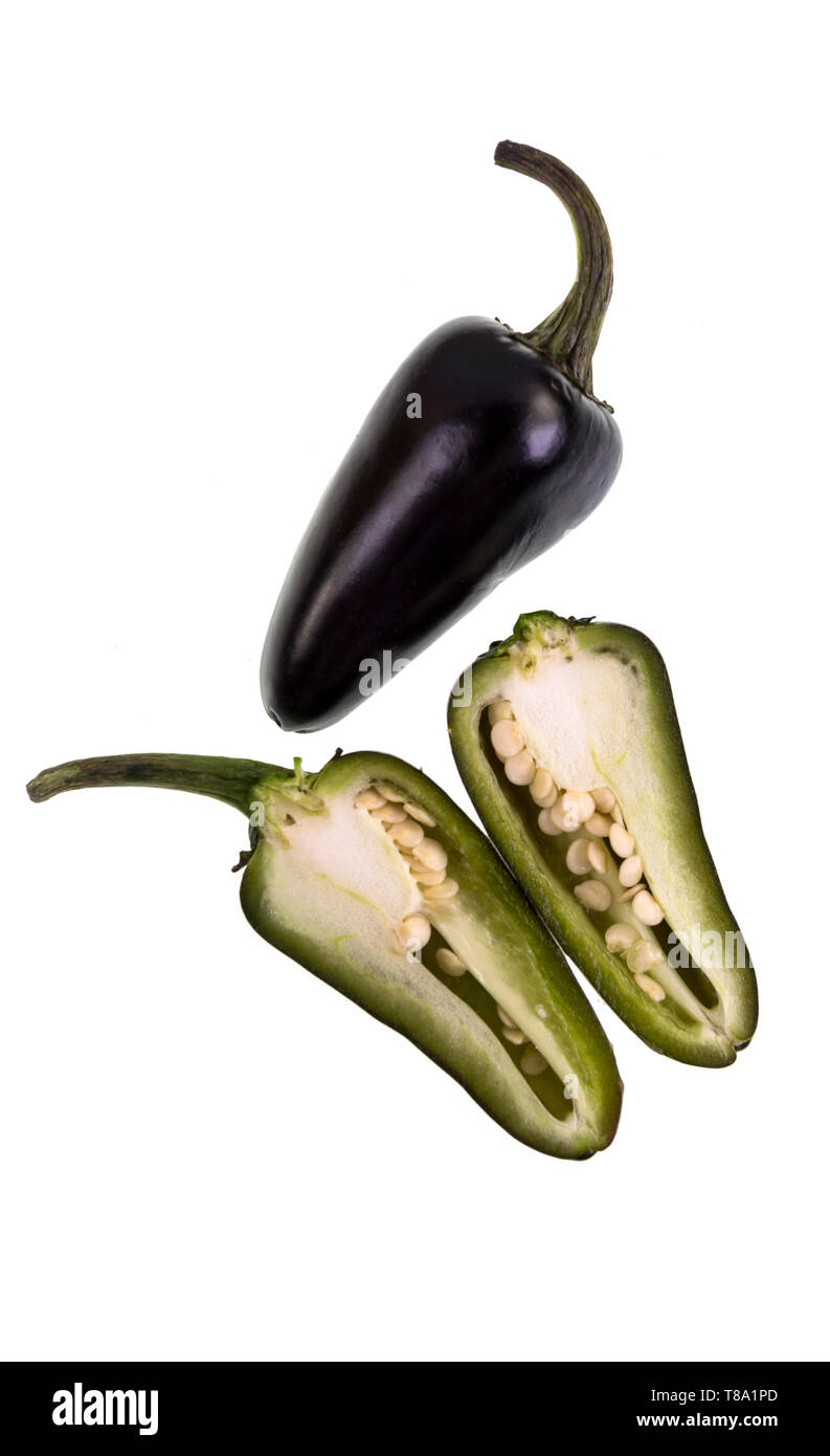 Il Purple Jalapeno è una di medie dimensioni di peperoncino della specie Capsicum annuum, avviamento spento verde e la maturazione di un colore rosso porpora scuro. Foto Stock
