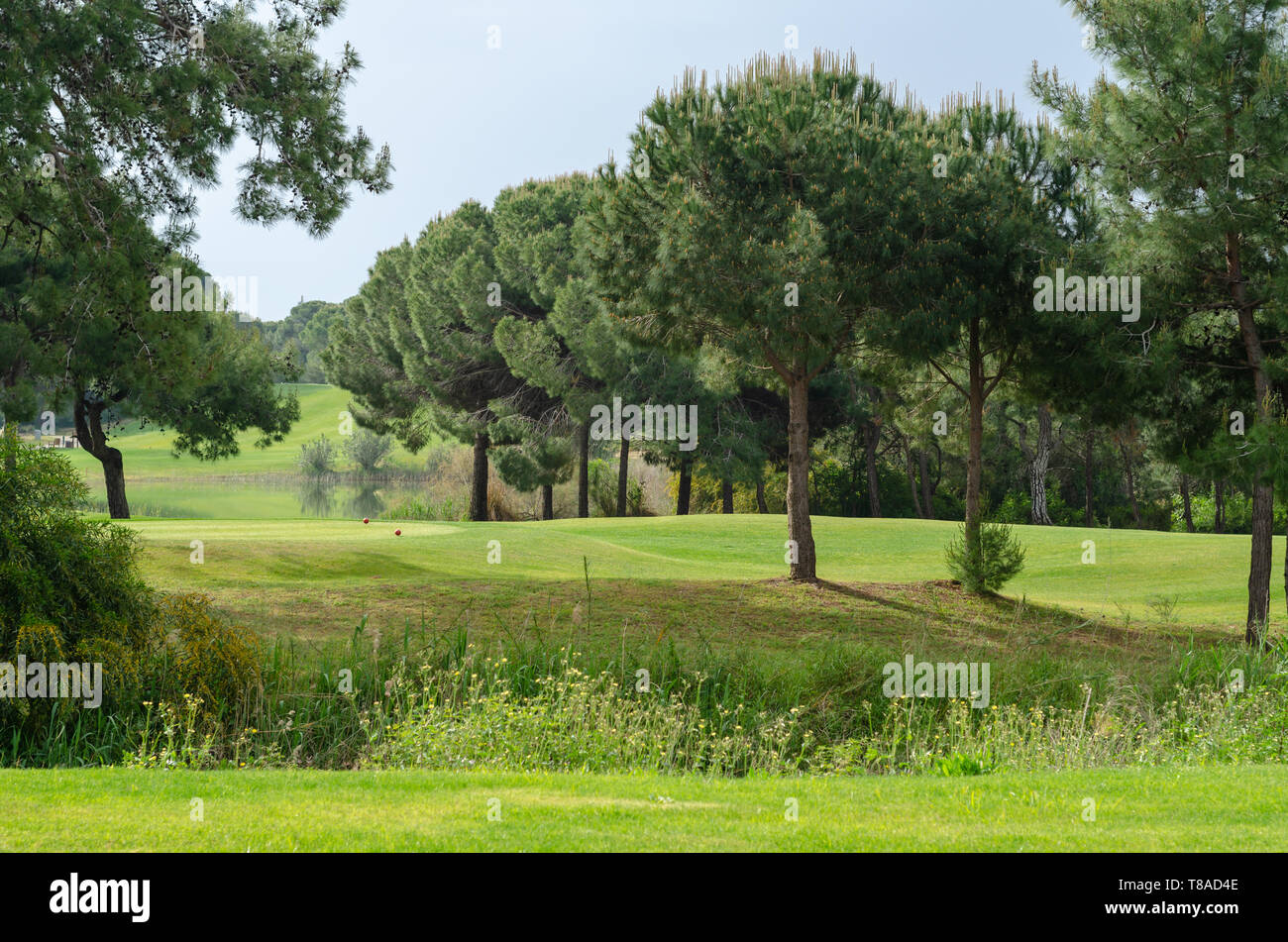 Campo da golf in Turchia.Golf green mostra prospettiva, rendendo un meraviglioso sfondo. Foto Stock