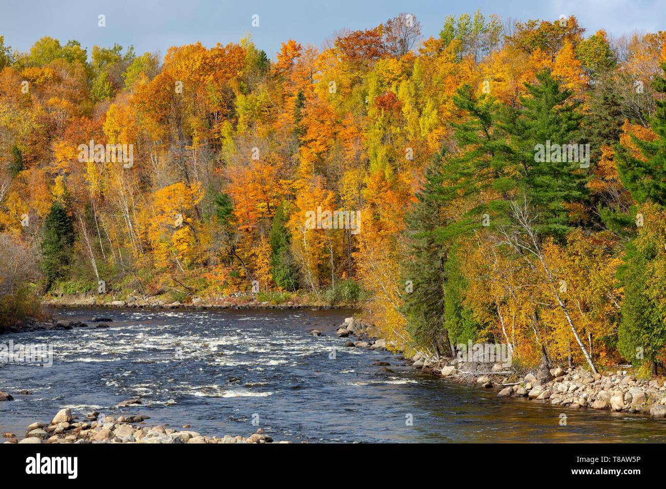 Canada, Provincia di Quebec, il chemin du Roy, Quebec regione della capitale nazionale, Donnacona dintorni, il fiume Jacques-Cartier, i colori dell'estate Indiana Foto Stock