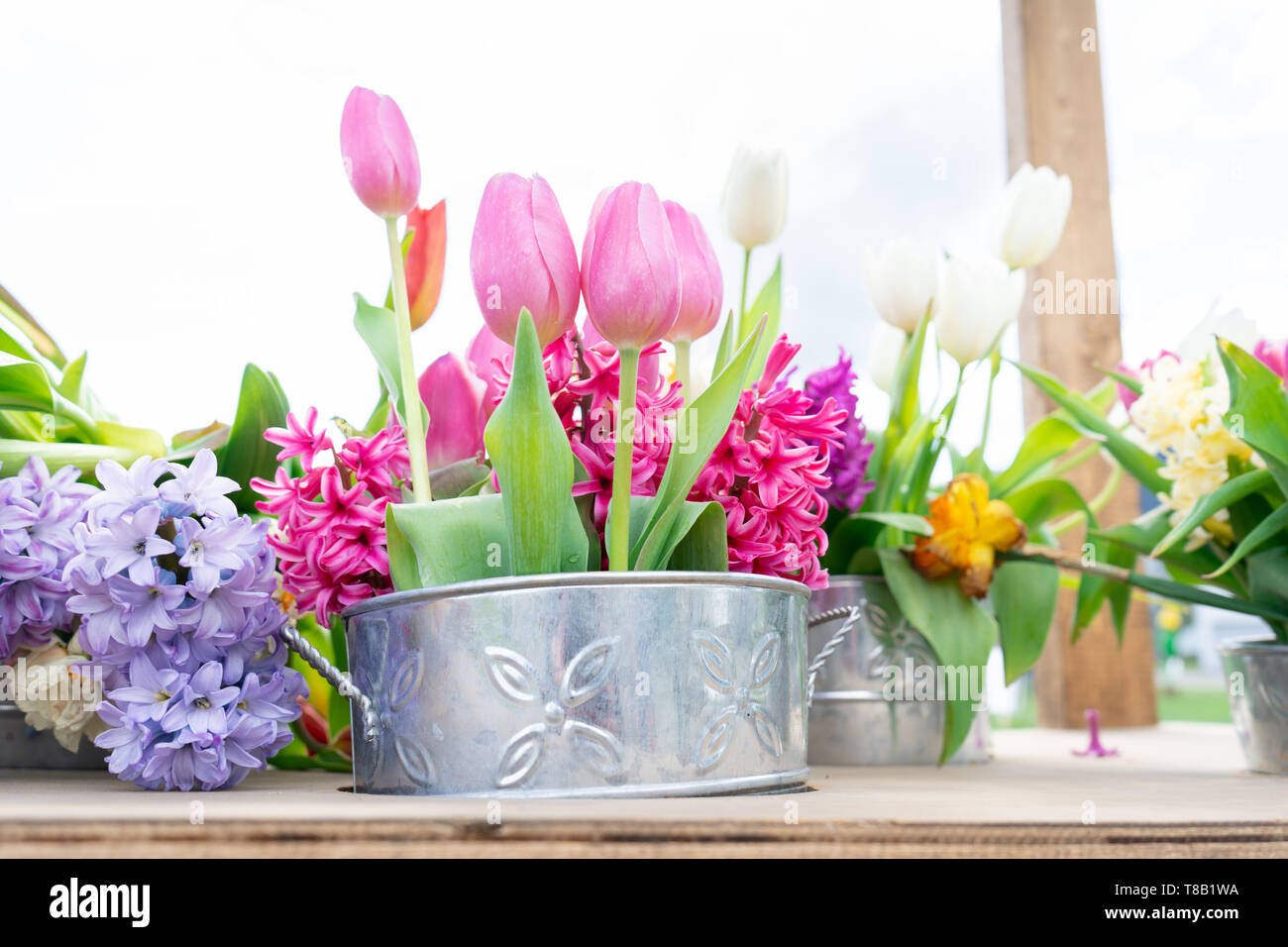 Lo stagno dei POT del fiore con un allestimento floreale di tulipani e altre varietà di fiori in rosa, bianco, giallo e verde brillante degli steli. Immagini di Pasqua. Foto Stock