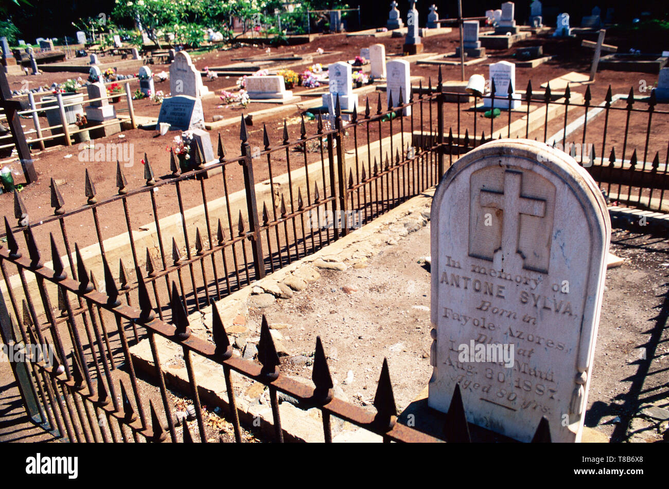 Marinaio nel cimitero,Lahaina,Maui, Hawaii Foto Stock