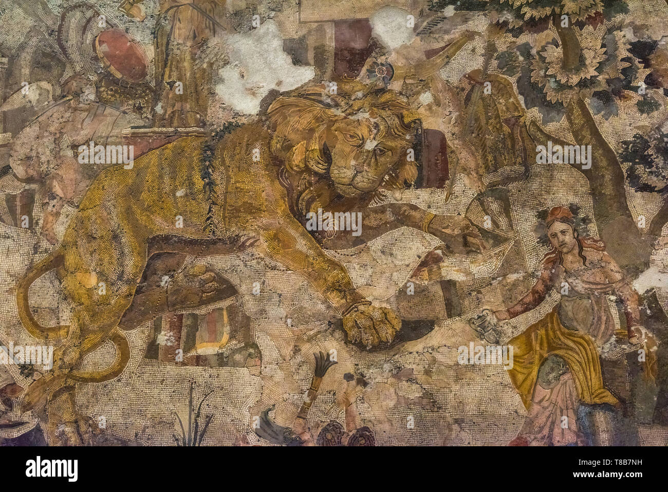 Lion mosaico, Museo Archeologico Nazionale di Napoli, Italia Foto Stock