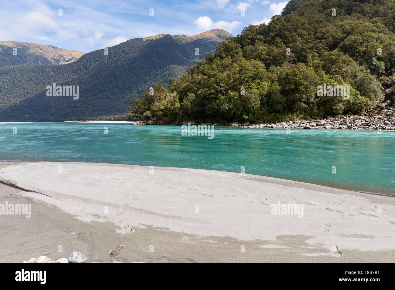 Nuova Zelanda, Isola del Sud, Costa Occidentale Regione, montare gli aspiranti National Park, etichettati Sito Patrimonio Mondiale dell'Unesco, fiume Haast Foto Stock