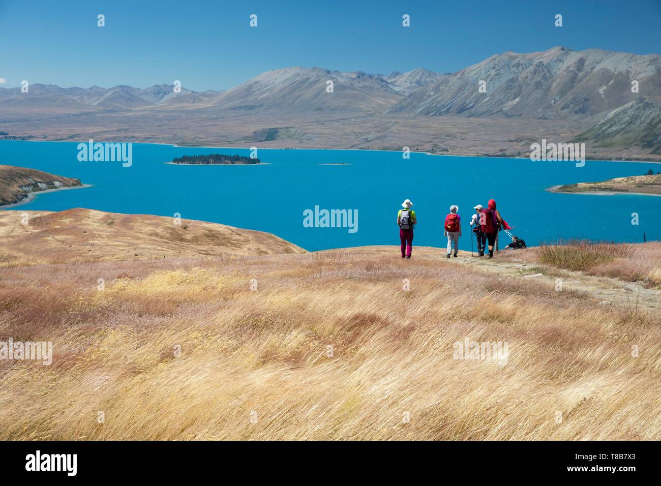 Nuova Zelanda, Isola del Sud, regione di Canterbury, gli escursionisti a Lago Tekapo Foto Stock