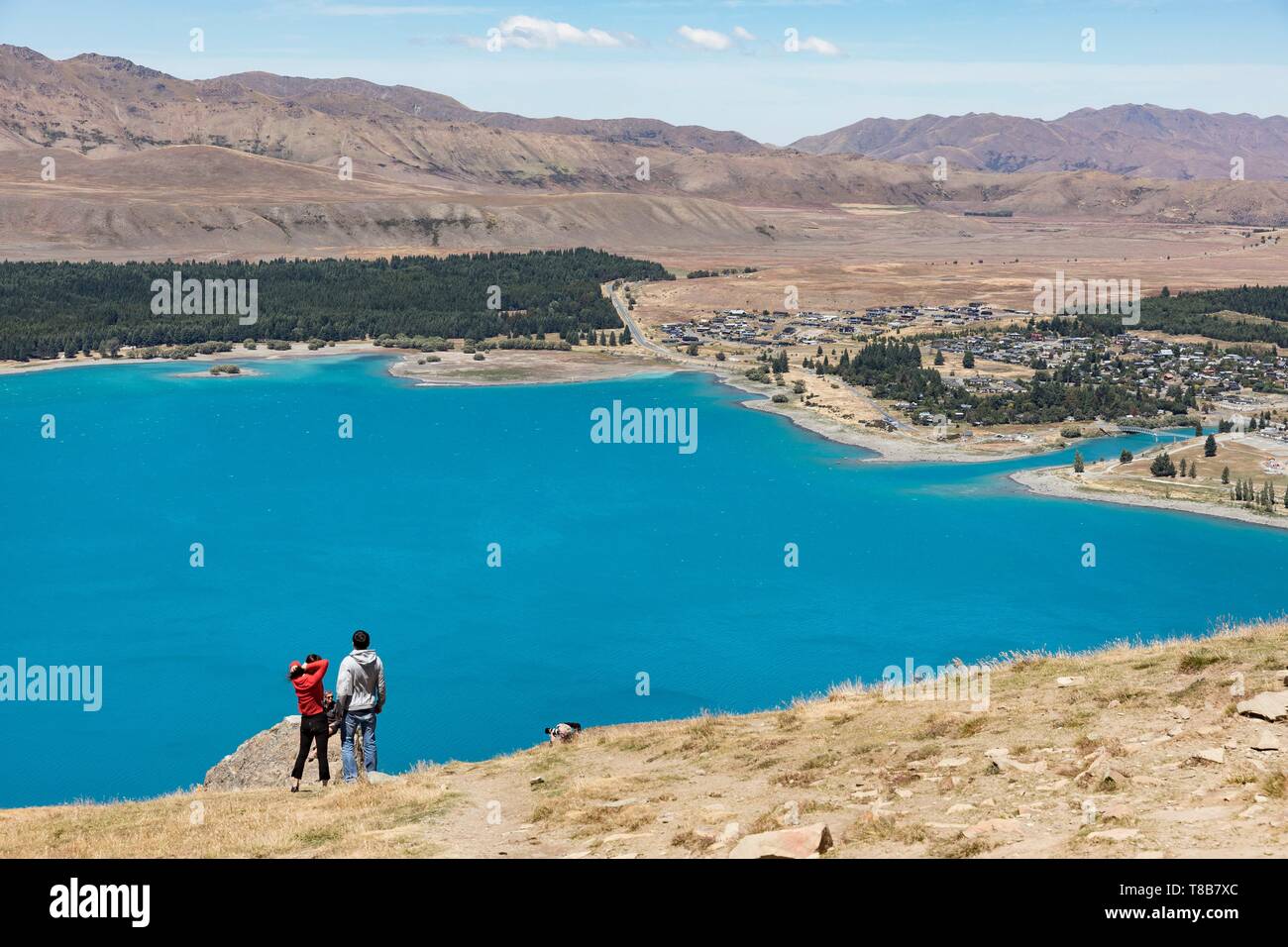 Nuova Zelanda, Isola del Sud, regione di Canterbury, il Lago Tekapo e il villaggio Foto Stock