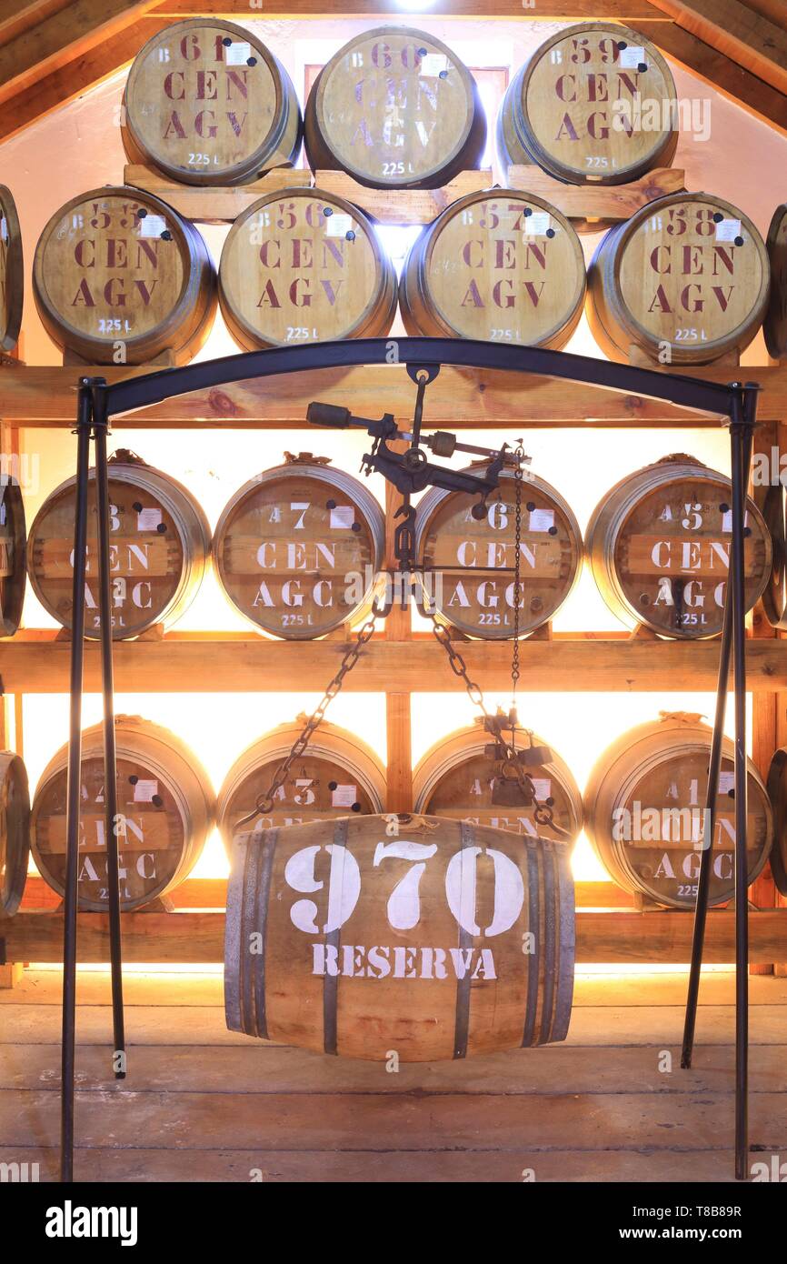 Il Portogallo, l'isola di Madeira, Machico, Porto da Cruz, distilleria di rum Engenhos do Norte fondata nel 1927 e tuttora funzionante con motori a vapore, barili di rum Foto Stock