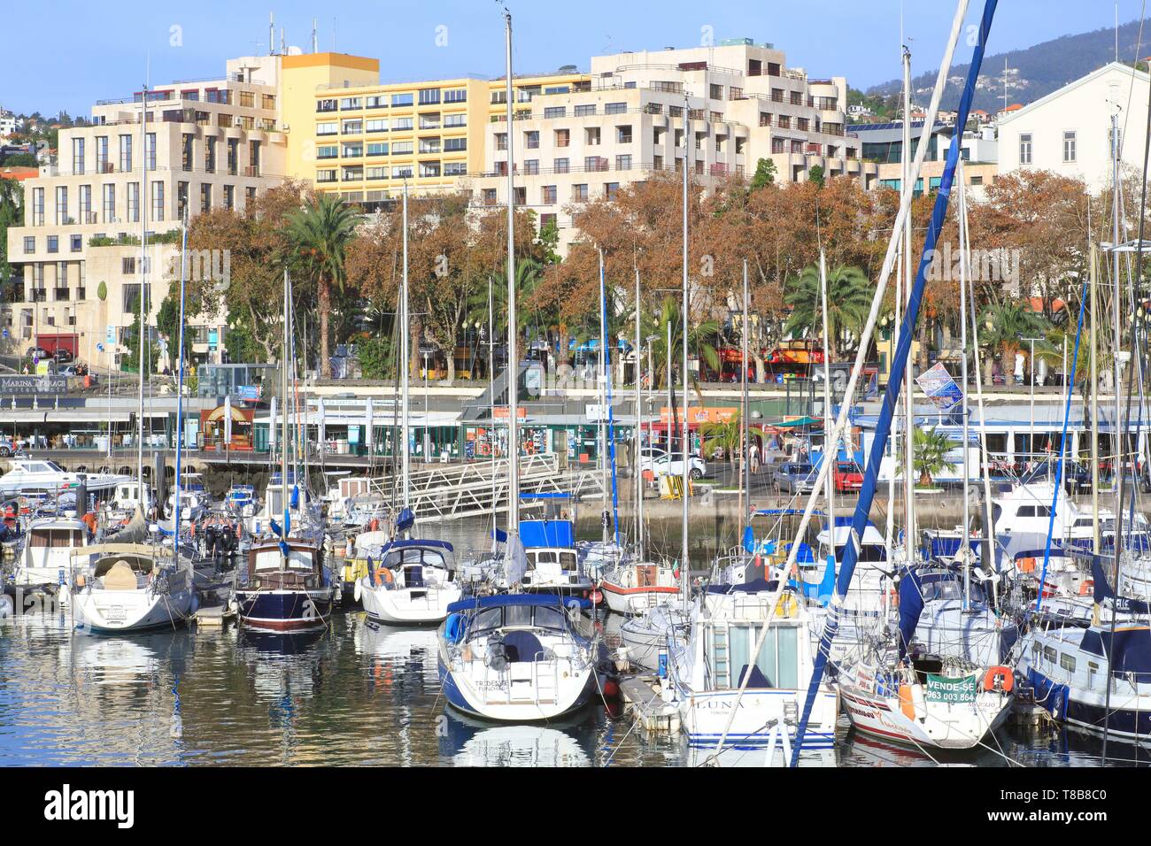 Il Portogallo, l'isola di Madeira, Funchal, Marina Foto Stock