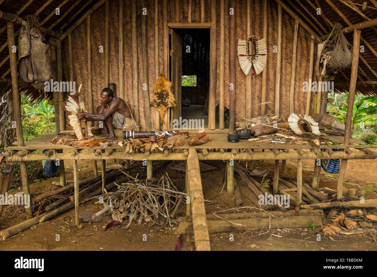 Papua Nuova Guinea, Southern Highlands provincia, area Bosavi, Kaluli tribù, Sugu village, ballerino preparare il suo corpo decorazione Foto Stock
