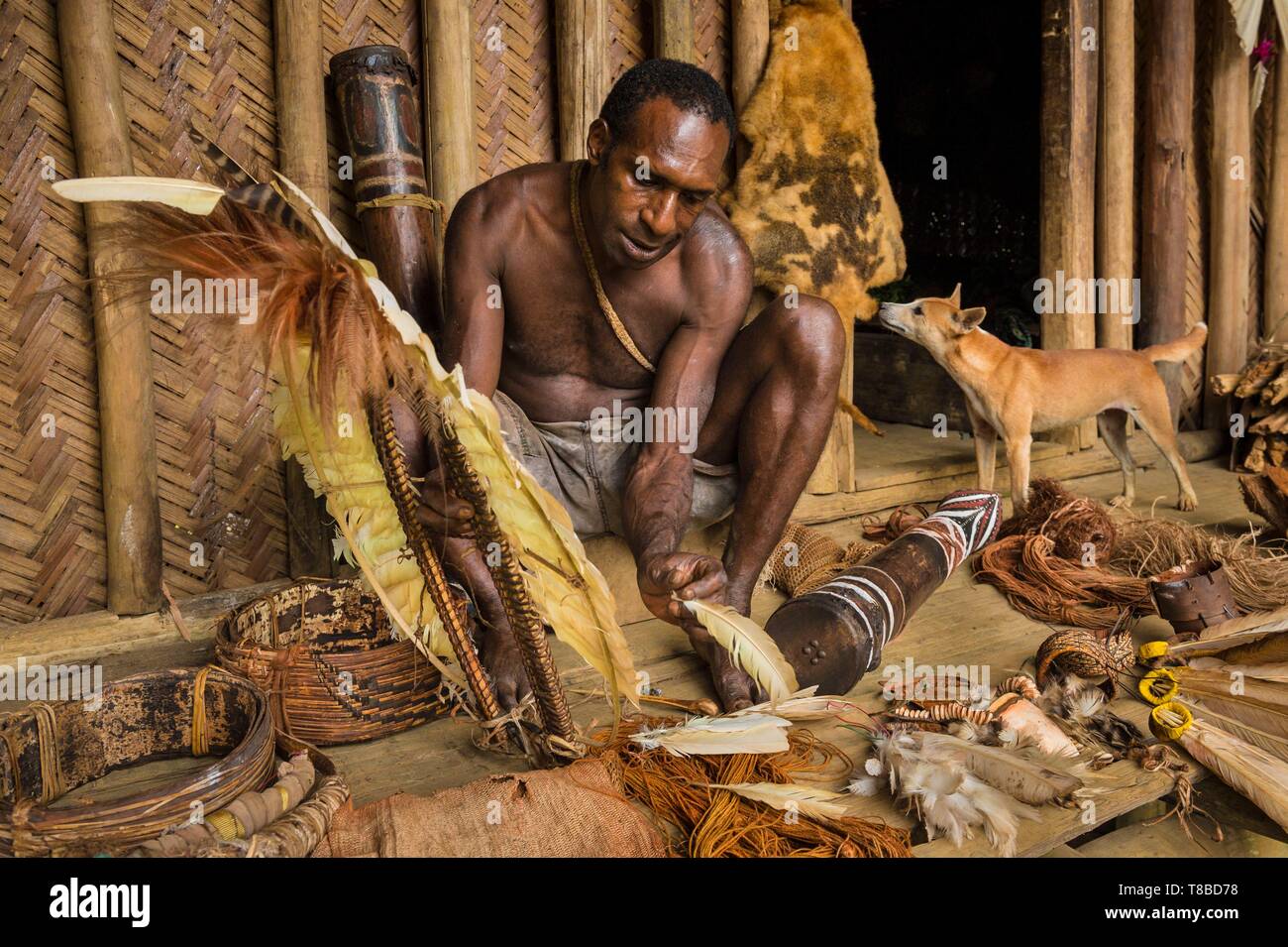 Papua Nuova Guinea, Southern Highlands provincia, area Bosavi, Kaluli tribù, Sugu village, ballerino preparare il suo corpo decorazione Foto Stock