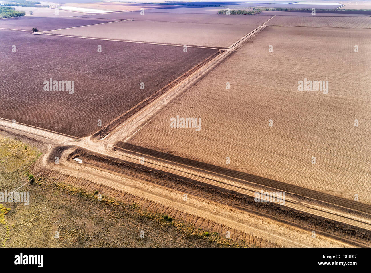 Arò coltivato i campi agricoli intorno Moree agricola comune nel grano australiano della cinghia sulla parte superiore del Bacino Artesiano nel NSW. Antenna vista in elevazione su polv Foto Stock