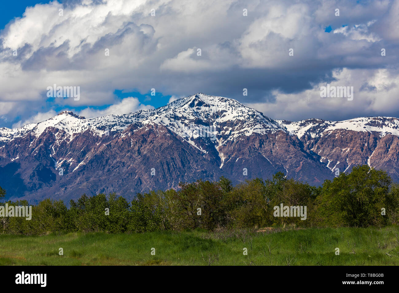 Questa è una primavera vista di 9,712-Montaggio a piede di Ben Lomond, un punto di riferimento e di montagna picco sul lato nord di Ogden, Utah, Stati Uniti d'America. Foto Stock
