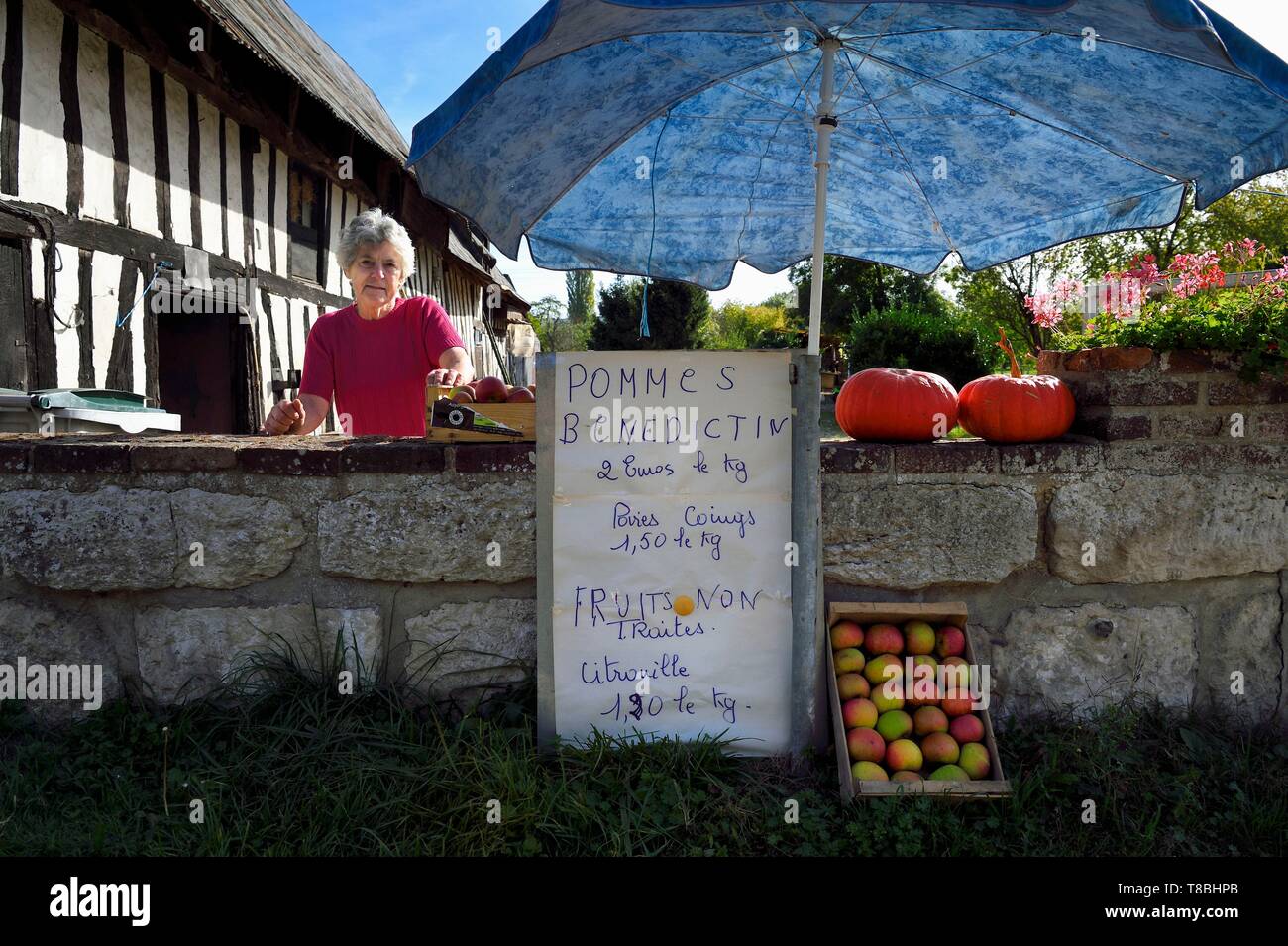 Francia, Seine-Maritime, Norman Senna meandri Parco Naturale Regionale, Bardouville, vendita di mele dal vivo su Simone Vauclin farm Foto Stock