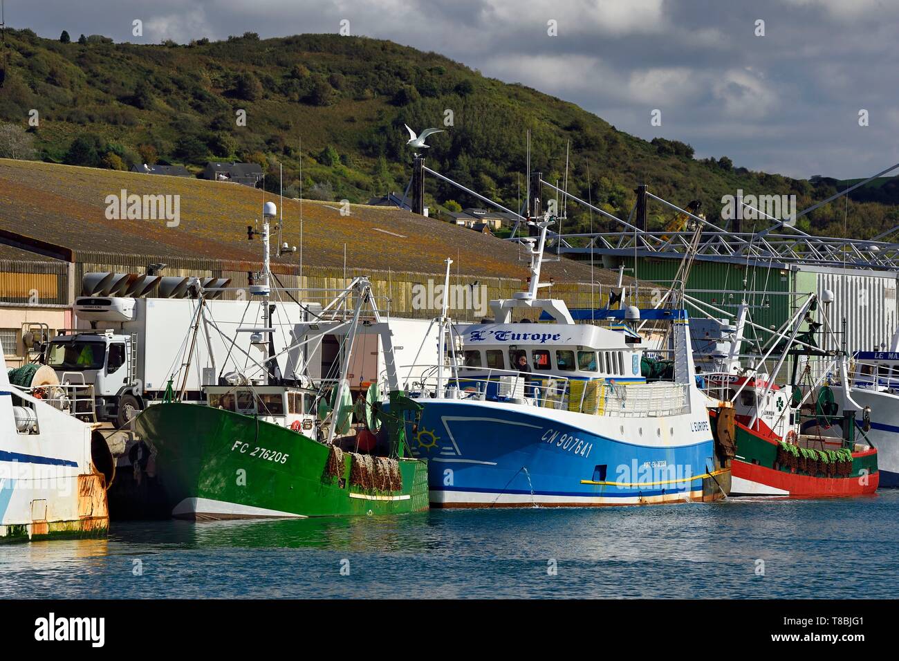 Francia, Seine Maritime, Pays de caux, Cote d'alabastro, Fecamp, le navi per la pesca a strascico nel porto di pesca Foto Stock