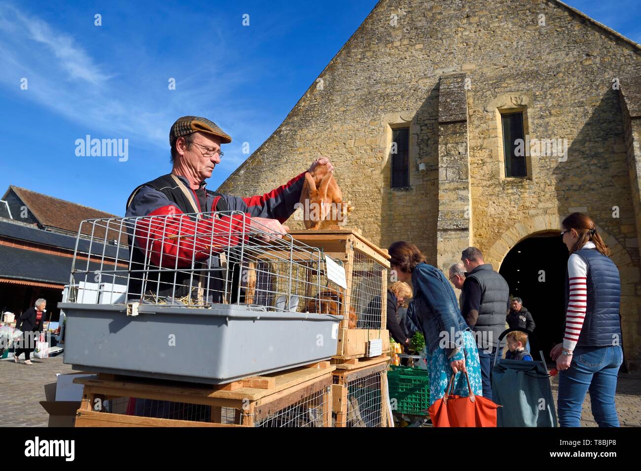 Francia, Calvados, Pays d'Auge, Saint Pierre sur Dives, giorno di mercato nella parte anteriore del XI secolo mercato coperto ricostruita nel XV secolo, il costitutore Pierre-Alain vende la sua conigli vivi Foto Stock