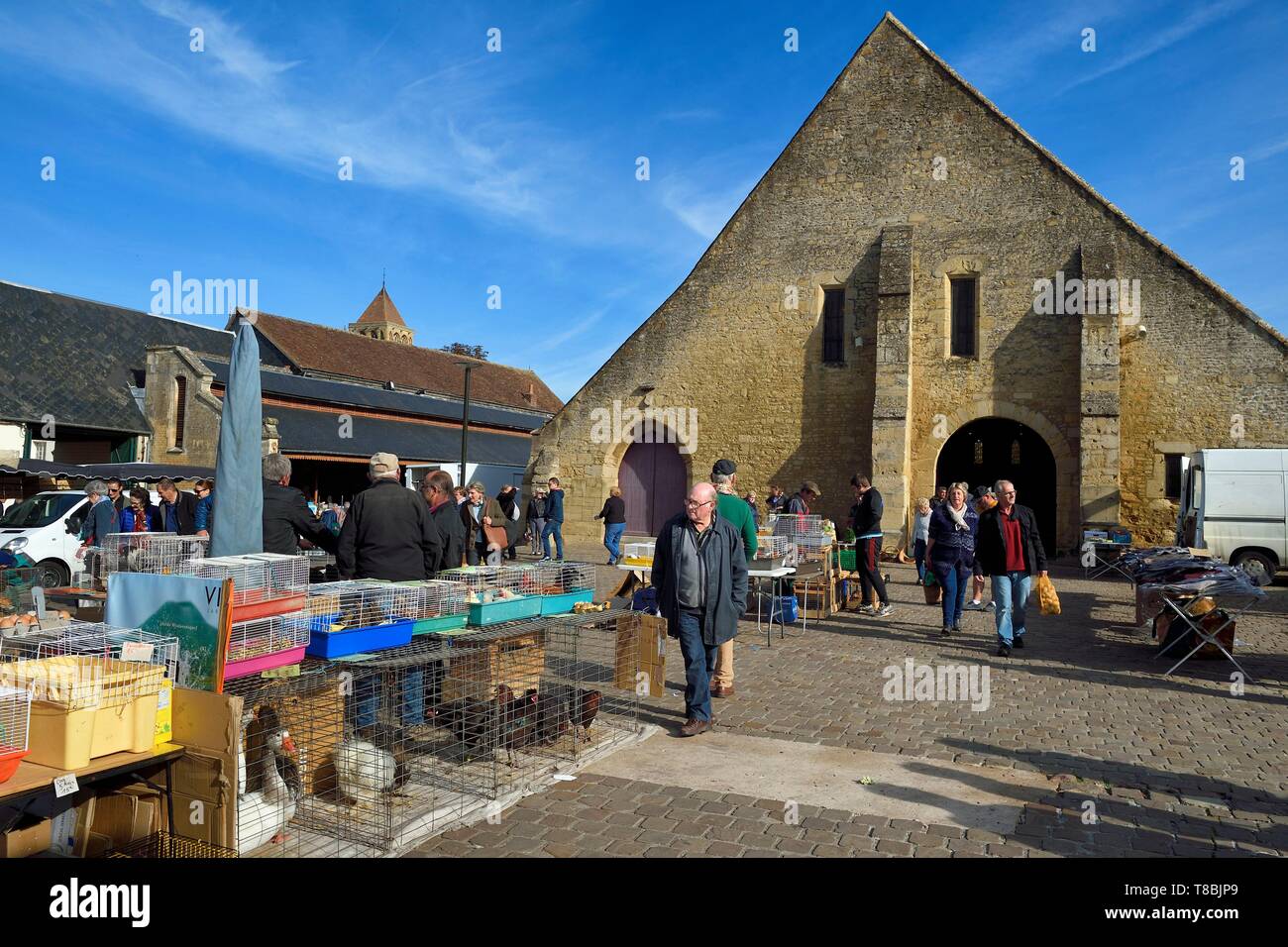 Francia, Calvados, Pays d'Auge, Saint Pierre sur Dives, giorno di mercato nella parte anteriore del XI secolo mercato coperto ricostruita nel XV secolo, la vendita di pollame vivo Foto Stock