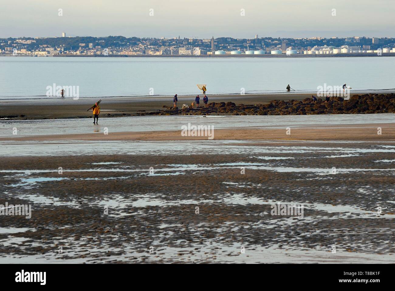 Francia, Calvados, Pays d'Auge, Trouville sur Mer, la Roches Noires (rocce nere) spiaggia che si estende per molti chilometri verso Hennequeville e Villerville, Le Havre port in background Foto Stock