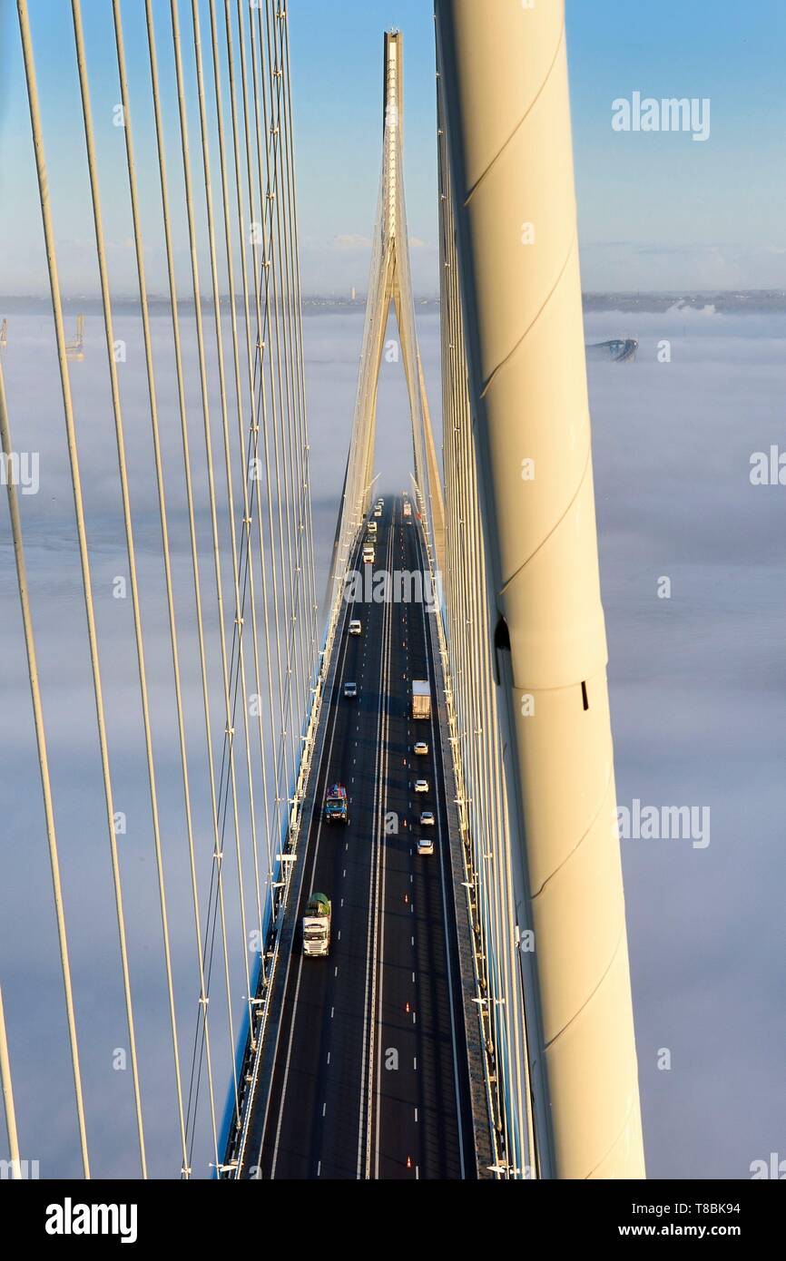 Francia, tra Calvados e Senna Marittima, il Pont de Normandie (Ponte Normandia) copre la Senna, i cavi che sostengono il ponte Foto Stock