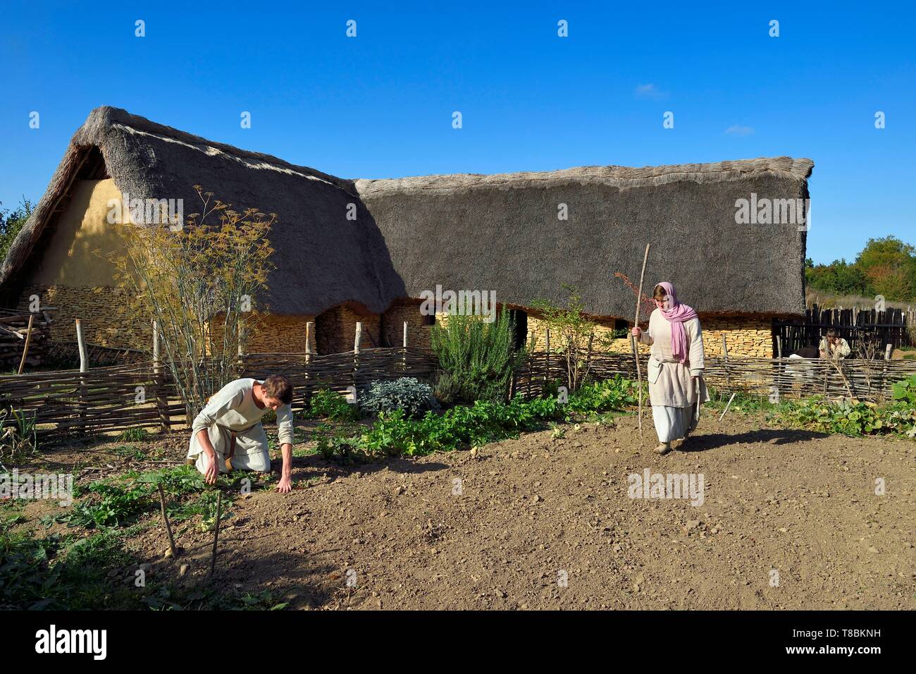 Francia, Calvados, Herouville Saint Clair, Domaine de Beauregard, Ornavik parco storico, la ricostruzione di un villaggio di origine carolingia con i suoi artigiani e contadini, la grande azienda agricola Foto Stock