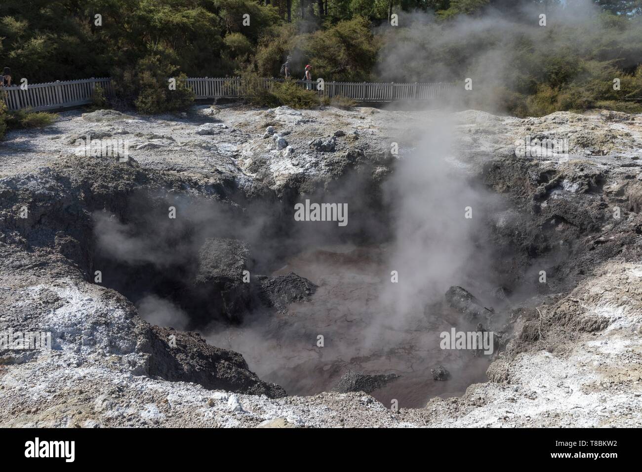 Nuova Zelanda, Isola del nord, regione di Waikato, Wai-O-Tapu, il Parco Nazionale del sito geotermico Foto Stock