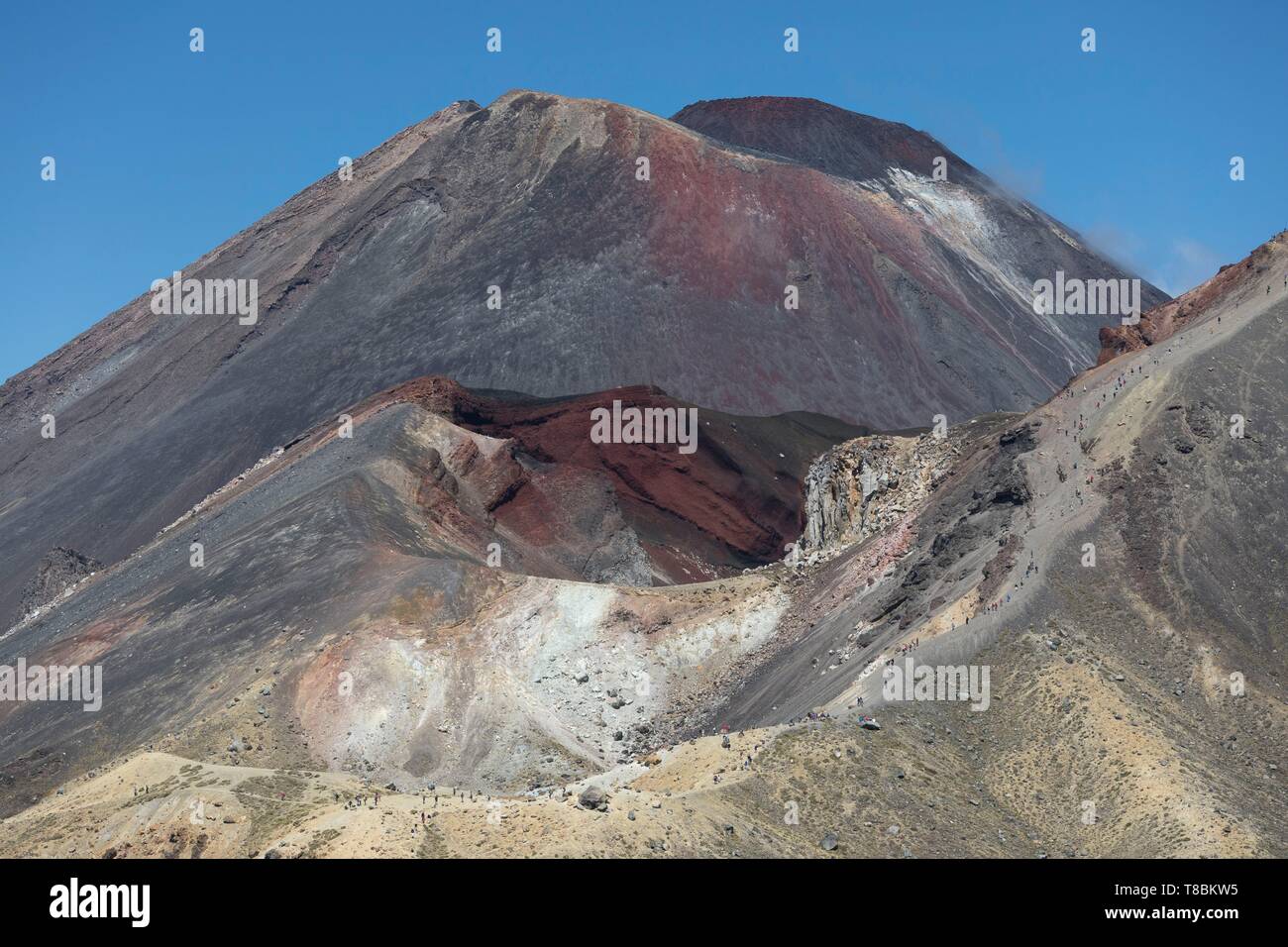 Nuova Zelanda, Isola del nord, regione di Waikato, parco nazionale di Tongariro, etichettato Unesco World Heritage Site, Tongariro e Ngauruhoe vulcani Foto Stock