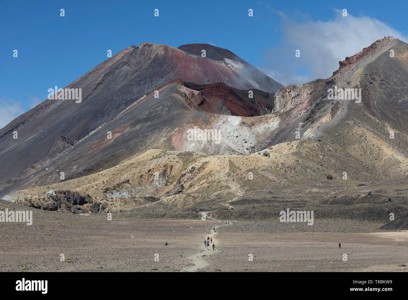 Nuova Zelanda, Isola del nord, regione di Waikato, parco nazionale di Tongariro, etichettato Unesco World Heritage Site, Tongariro e Ngauruhoe vulcani Foto Stock