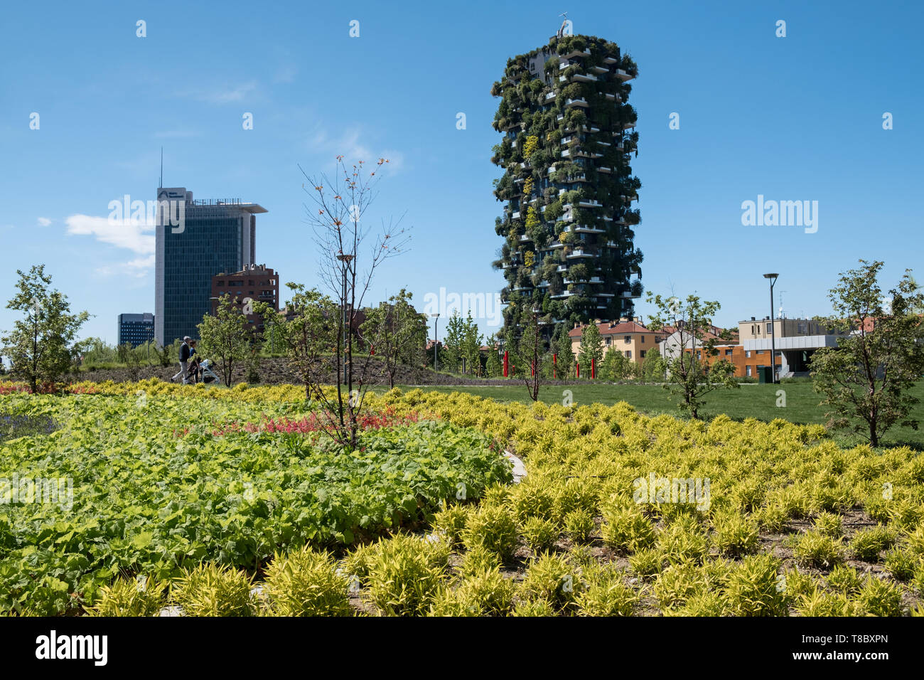 Bosco Verticale (Bosco Verticale) sono le torri residenziali in Porta Nuova district, Milano, Italia, con centinaia di alberi e piante coltivate su di essi. Foto Stock