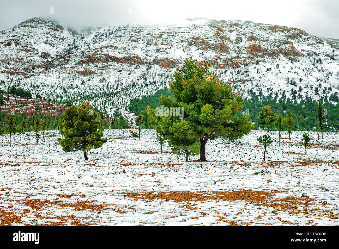 Splendido panorama invernale delle montagne BOUIBLANE - Marocco, bella natura tra le montagne Foto Stock