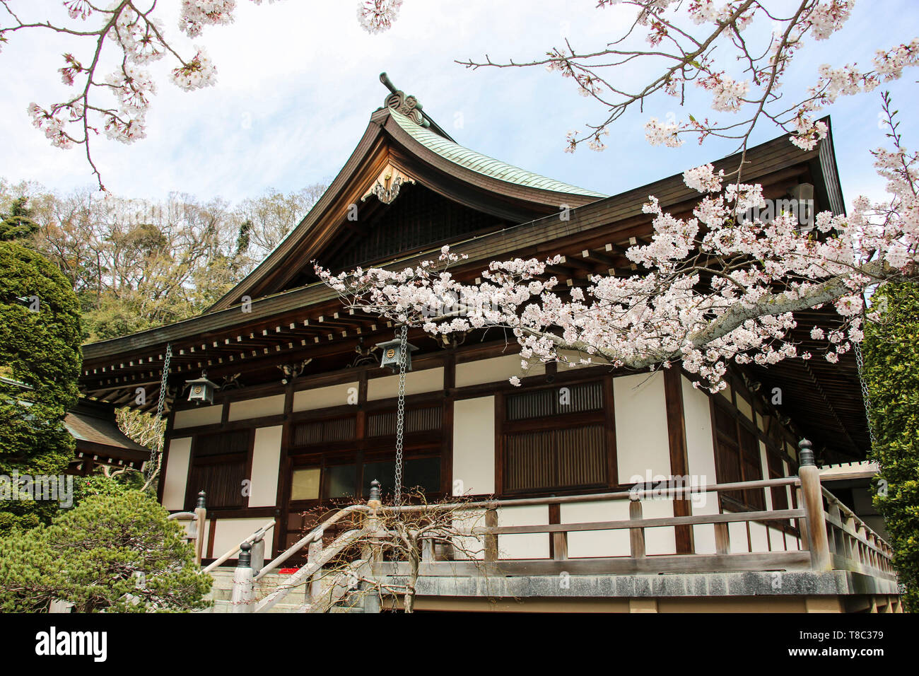 Tempio di Hokokuji (take-dera tempio) è un antico tempio buddista e la più famosa destinazione in Kamakura, Giappone. Foto Stock