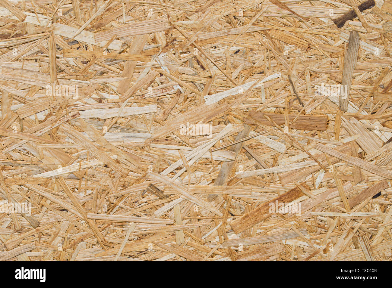 Scheda OSB legno compensato di texture di sfondo Foto Stock