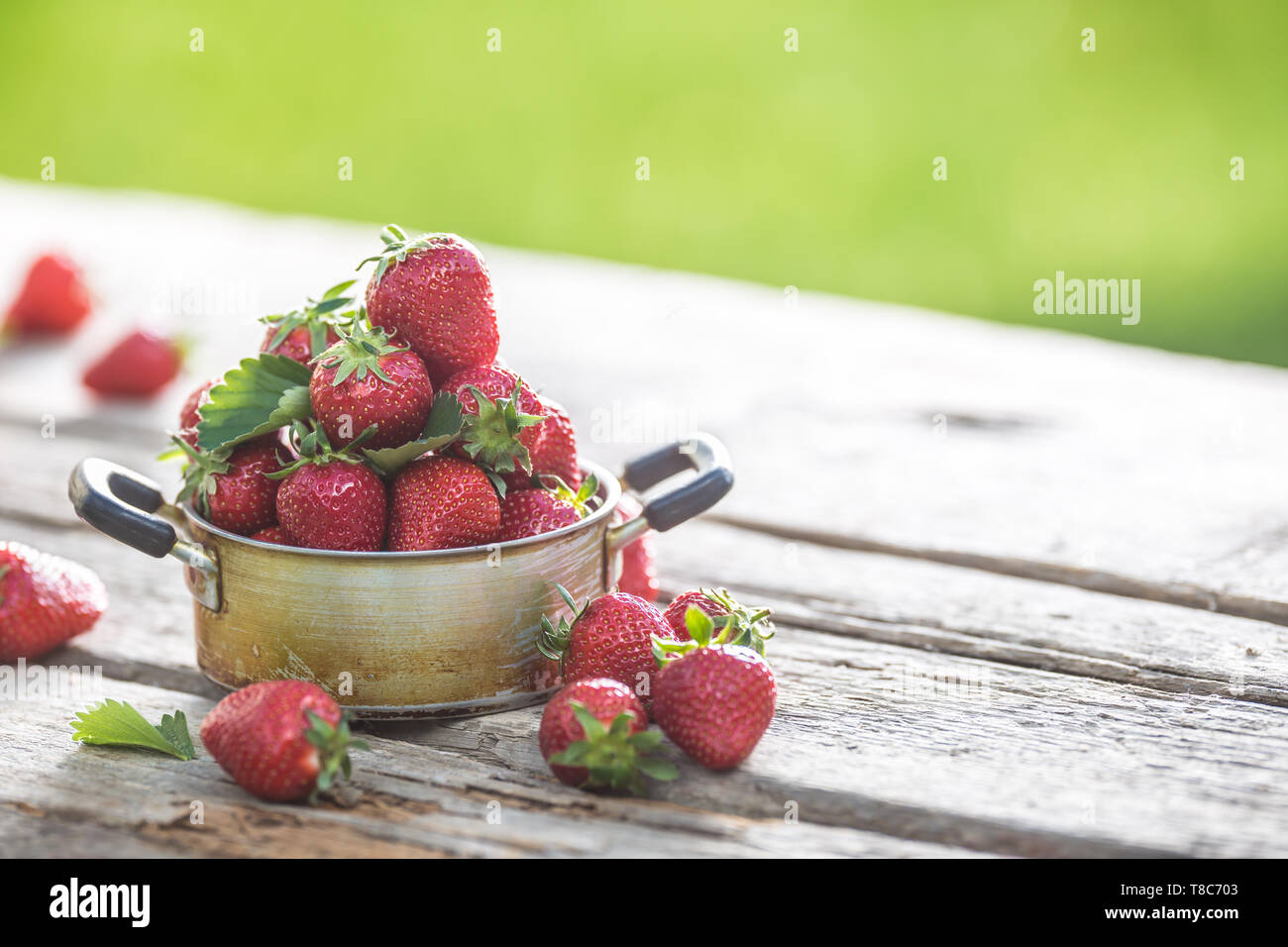 Fresche fragole mature in cucina vintage pot sul vecchio tavolo da giardino Foto Stock