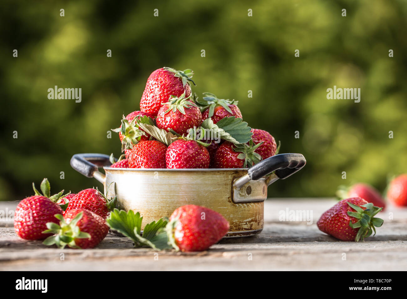 Fresche fragole mature in cucina vintage pot sul vecchio tavolo da giardino Foto Stock
