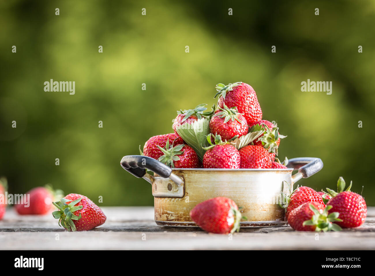 Fresche fragole mature in cucina vintage pot sul vecchio tavolo da giardino Foto Stock
