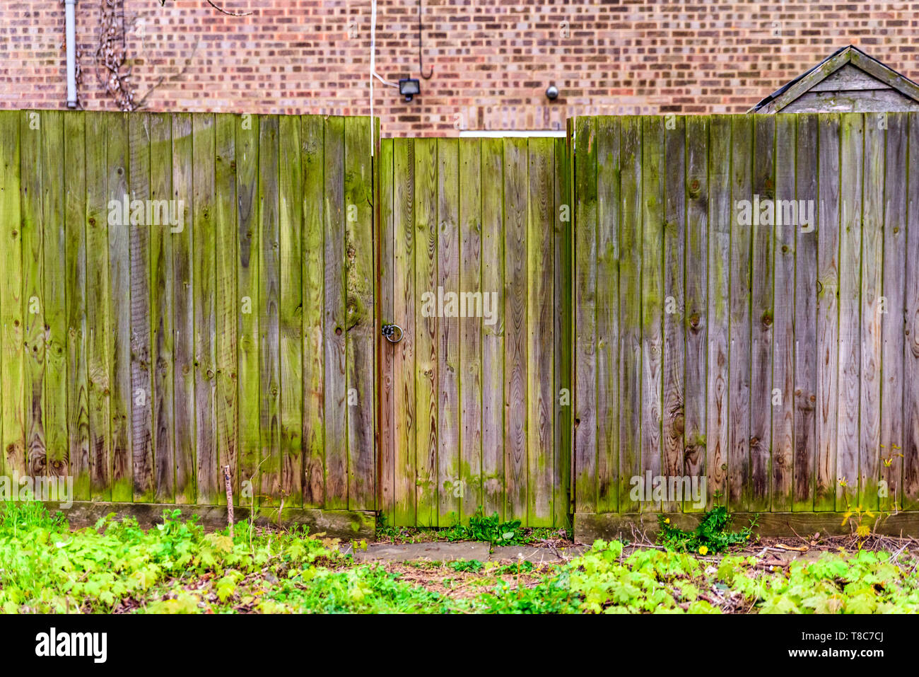Sfondo di imbarcati in legno recinto coperto con moss nella città inglese UK. Foto Stock